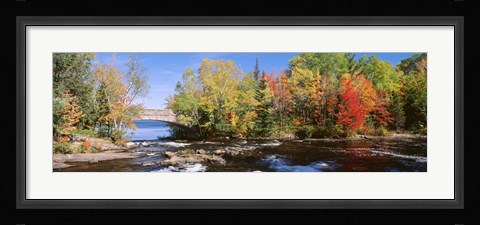 Framed Trees Near A River, Bog River, New York State Print