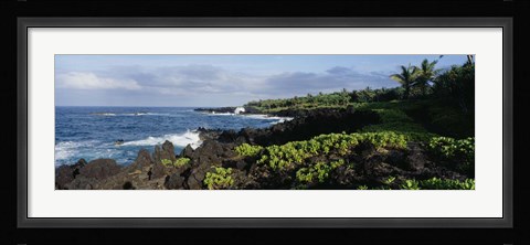 Framed Plants on a rocky landscape, Maui, Hawaii Print