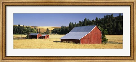Framed Farmhouses in a wheat field, Washington State Print