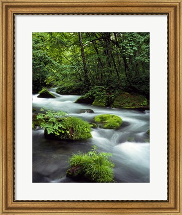 Framed River Aomori Japan Print