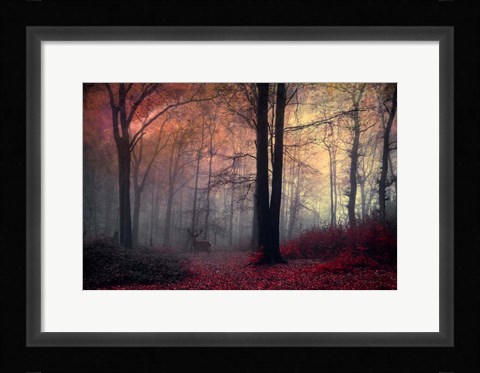 Framed Forest Dream Print