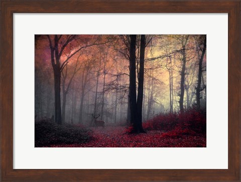 Framed Forest Dream Print