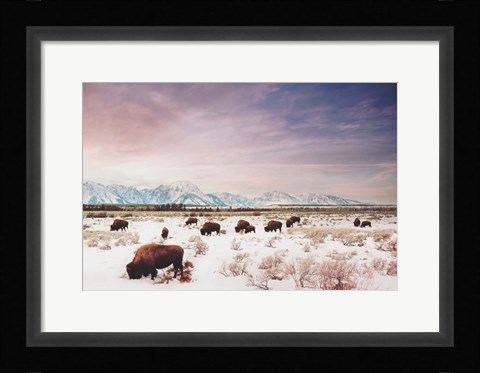 Framed Herds of The Tetons Print