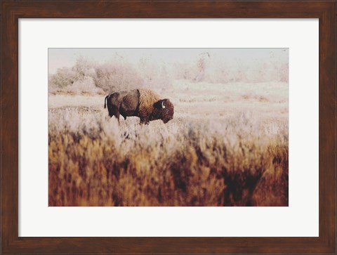 Framed Lone Ranger Print