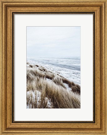 Framed Coastal II Print