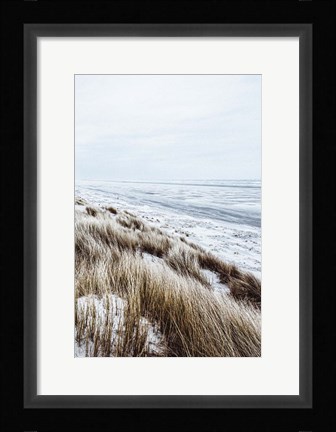 Framed Coastal II Print