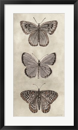 Framed Antique Butterflies I Print