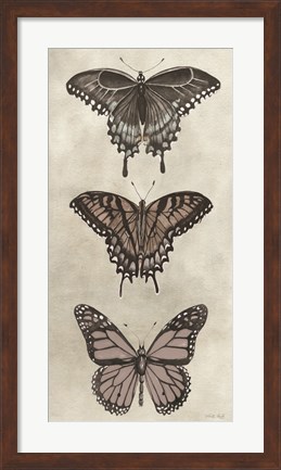 Framed Antique Butterflies II Print