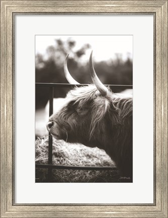 Framed Between the Lines Print