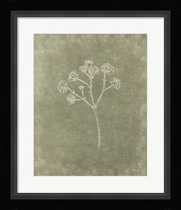 Framed Floral I Print