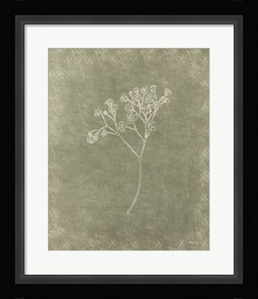Framed Floral II Print