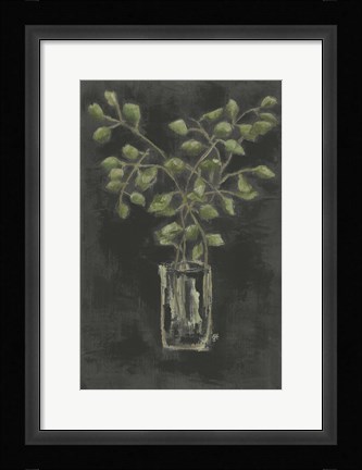 Framed Eucalyptus Print