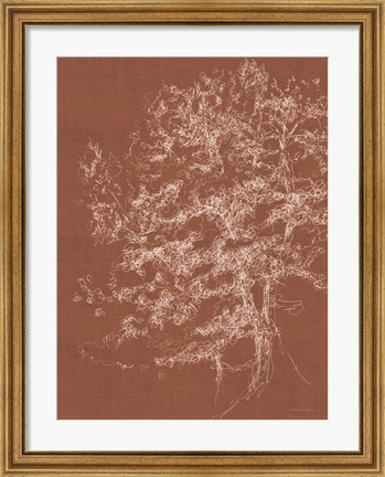 Framed Timber in the Woods Print
