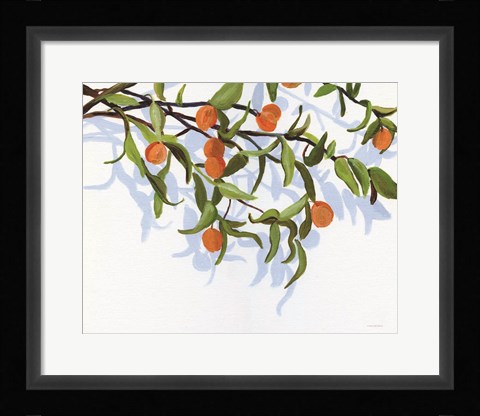 Framed Kumquats Print