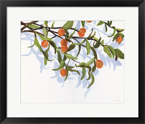 Framed Kumquats Print