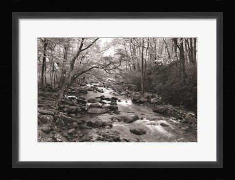 Framed Little Pigeon River I Print