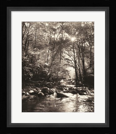 Framed Little Pigeon River Portrait Print