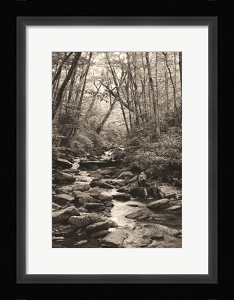 Framed Alum Cave Trail Print