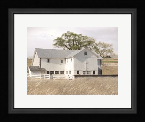 Framed White Summer Barn Print