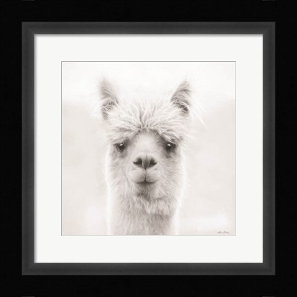 Framed Chip the Alpaca Print