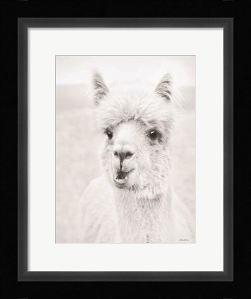 Framed Clover the Alpaca Print
