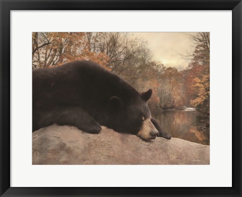 Framed Don't Poke the Bear Print