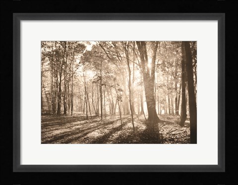 Framed Back to Nature Print