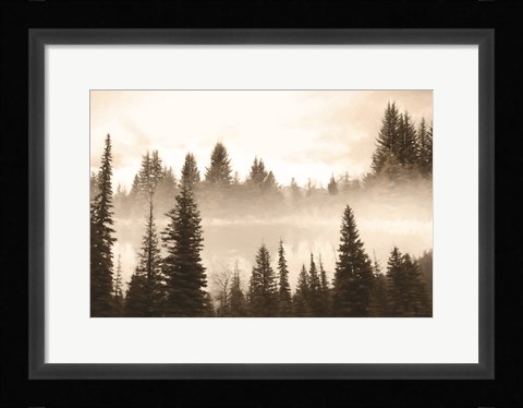 Framed Fog in the Forest Print