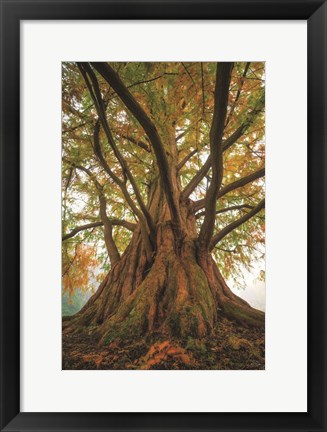 Framed Tentacle Tree Print