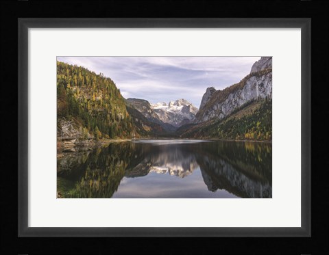 Framed Nature's Beauty Print