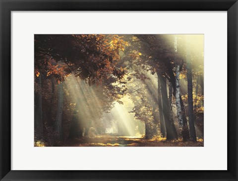 Framed Sunrays Print