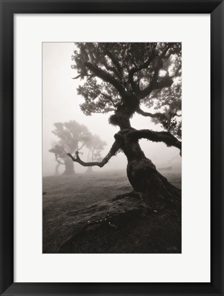 Framed Forest Queen II Print