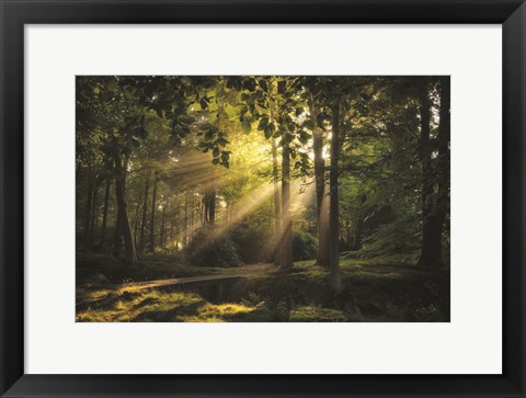 Framed Bridge to the Light Print