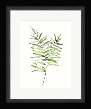 Framed Leafy Stem 1 Print