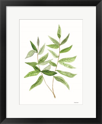 Framed Leafy Stem 3 Print