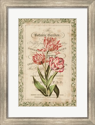 Framed Botanic Garden Print