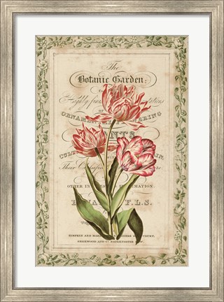 Framed Botanic Garden Print