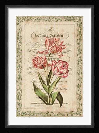 Framed Botanic Garden Print