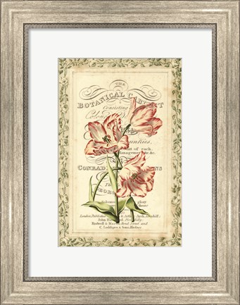 Framed Botanic Cabinet Print