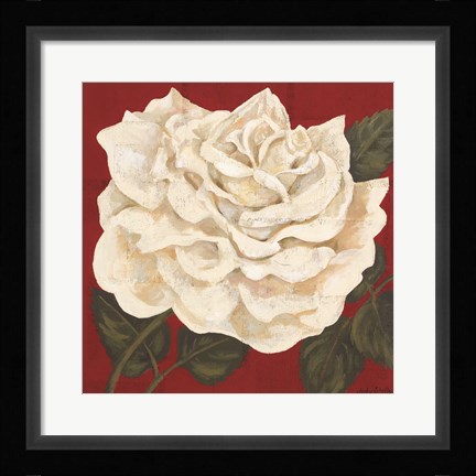 Framed Rosa Blanca Grande I Print