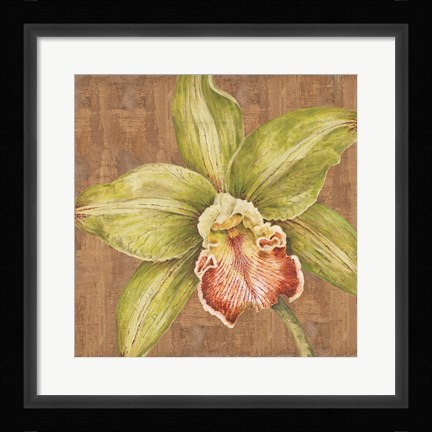 Framed Aloha Beauty II Print