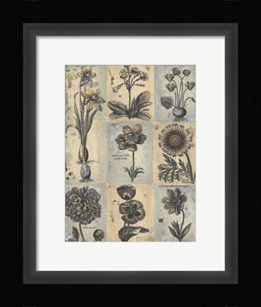 Framed Eleanor's Treasure I Print