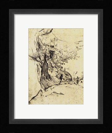 Framed Sepia Tree Study Print