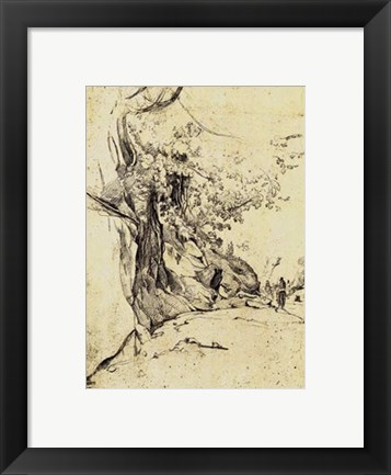 Framed Sepia Tree Study Print