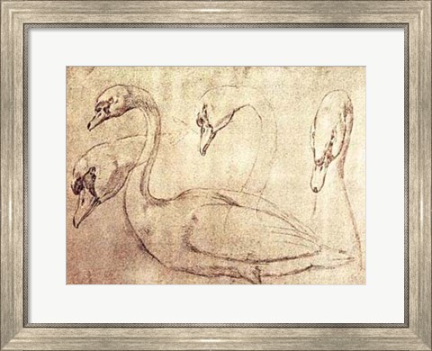 Framed Sepia Swan Study Print