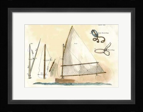 Framed Nautilus I Print