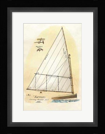 Framed Nautilus III Print