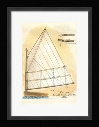 Framed Nautilus IV Print