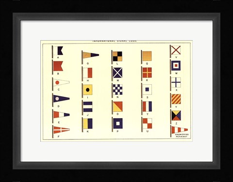 Framed Nautilus VI Print