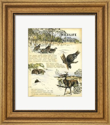 Framed Wildlife Print